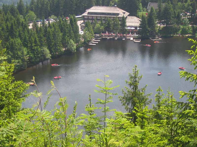 Blick von der Hornisgrinde zum Mummelsee