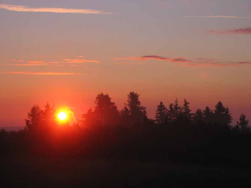 sommerlicher Sonnenaufgang auf der Hornisgrinde