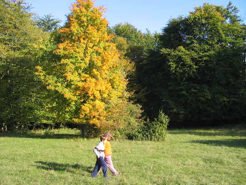vertraute Zweisamkeit unter Geschwistern