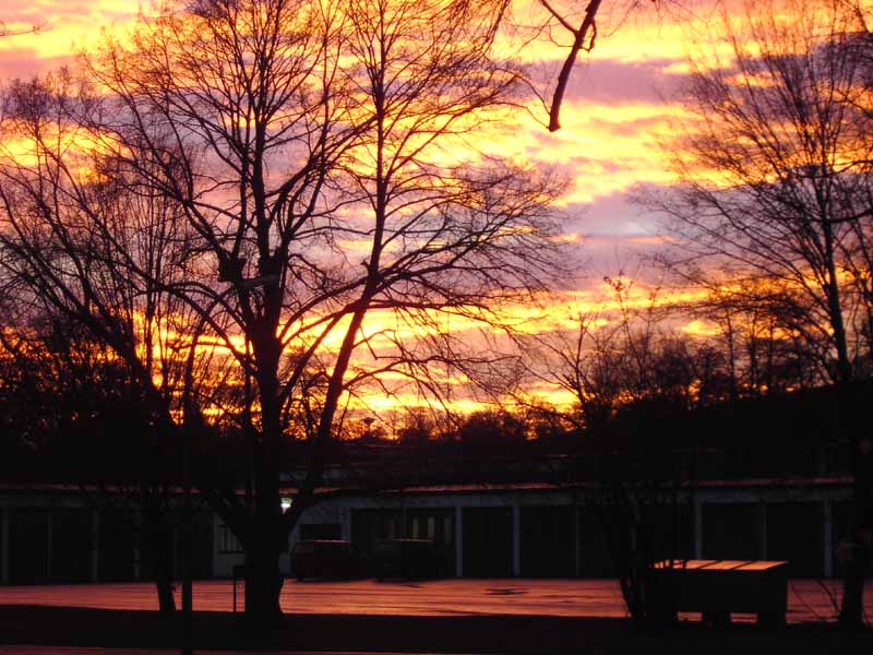 Morgenstimmung