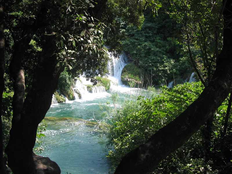 Dschungel im Krka-Nationalpark