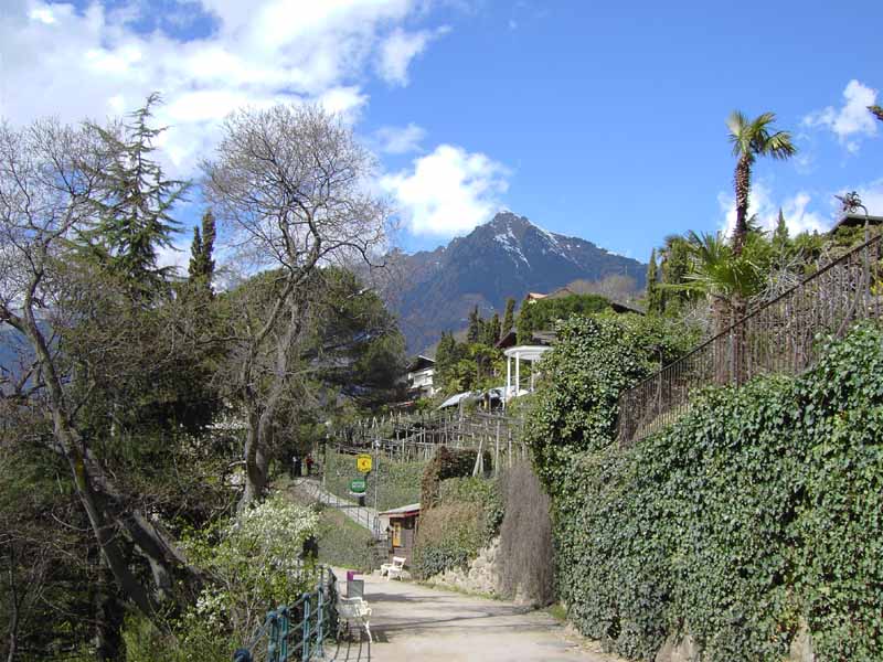 Tappeinerpromenade in Meran