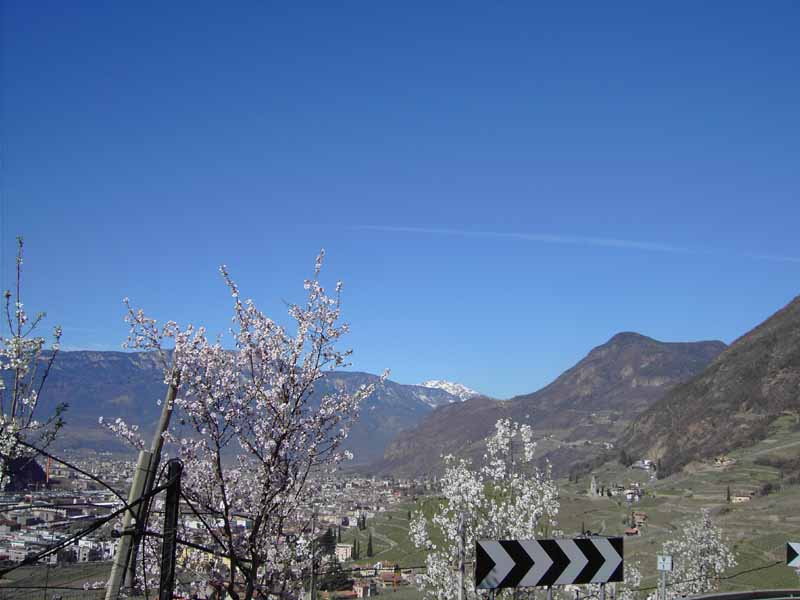 Auffahrt auf den Ritten