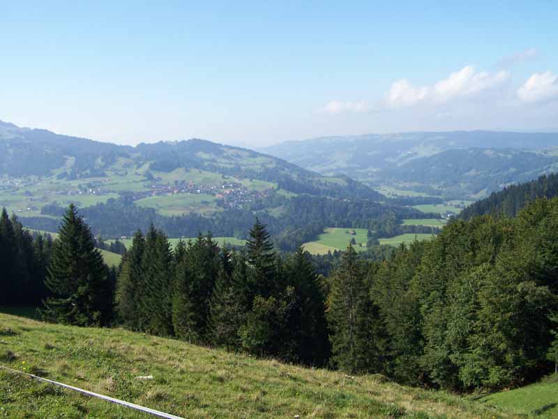 Auf dem "Hündle" - nahe Oberstaufen