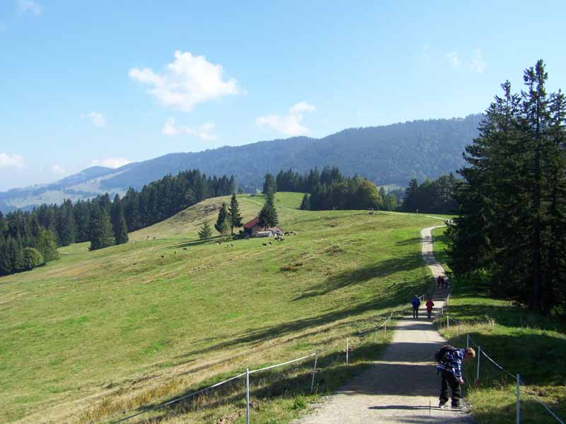 Auf dem "Hündle" - nahe Oberstaufen