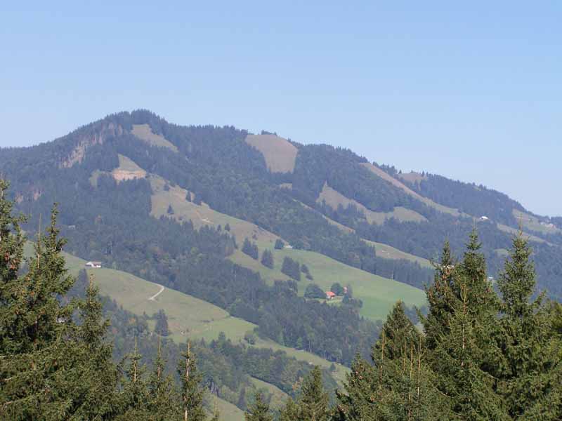 Auf dem "Hündle" - nahe Oberstaufen