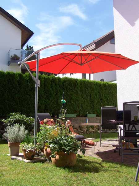 Sommer im Garten