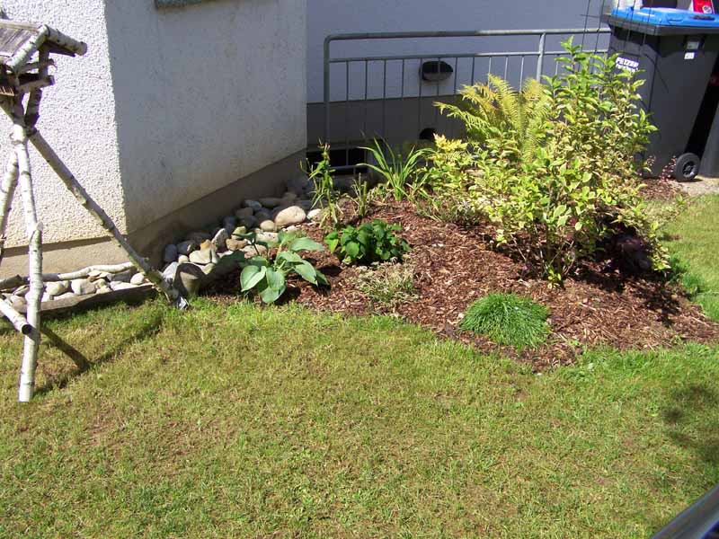 Sommer im Garten