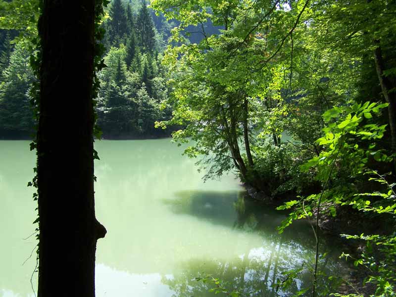am Rande des Bregenzer Waldes