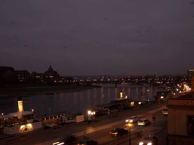Blick über die Elbe