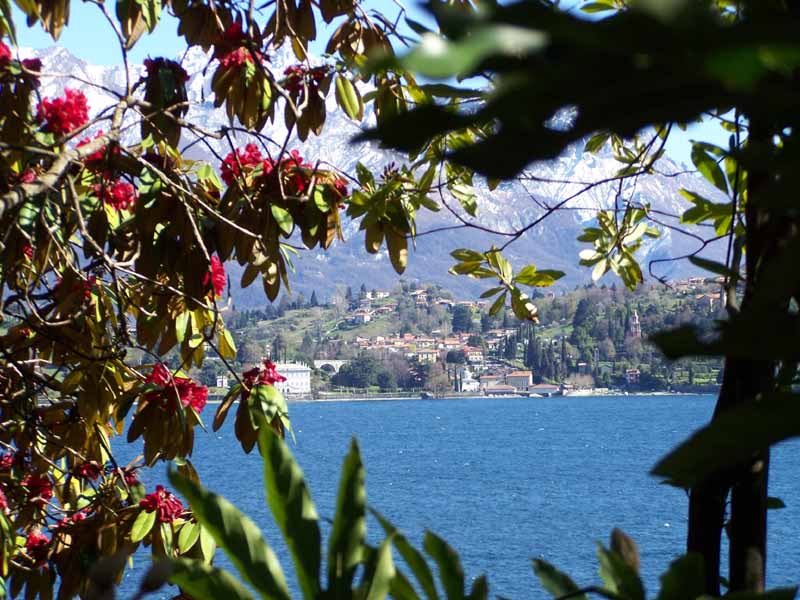 Garten der Villa Carlotta mit Ausblick nach Bellagio
