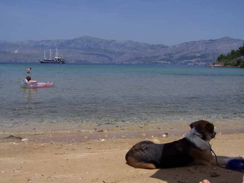 selten: Sandstrand in Kroatien