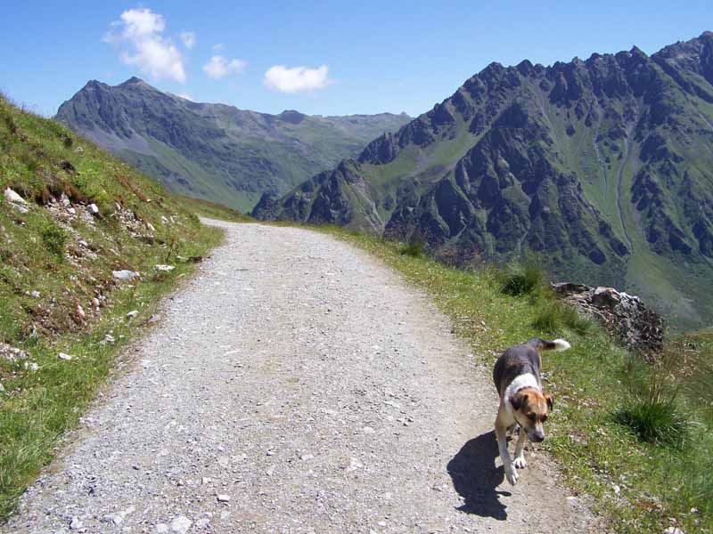 auf zur Wanderung