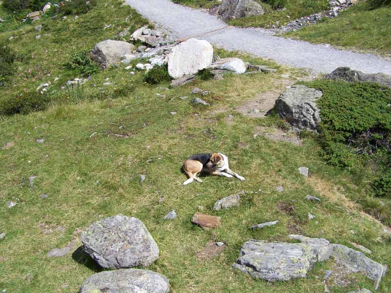 Pause muss sein
