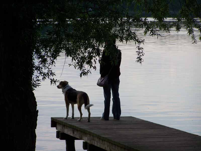 den Abend geniessen