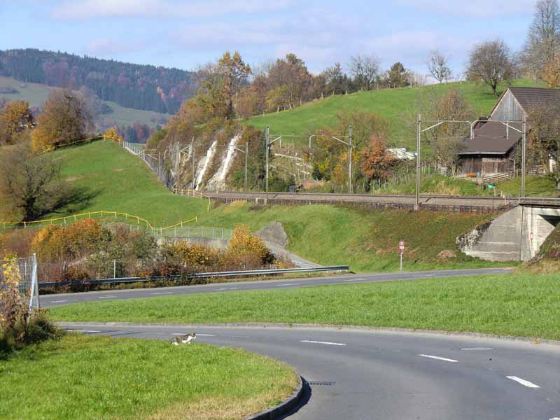 nahe Immensee am Zuger See