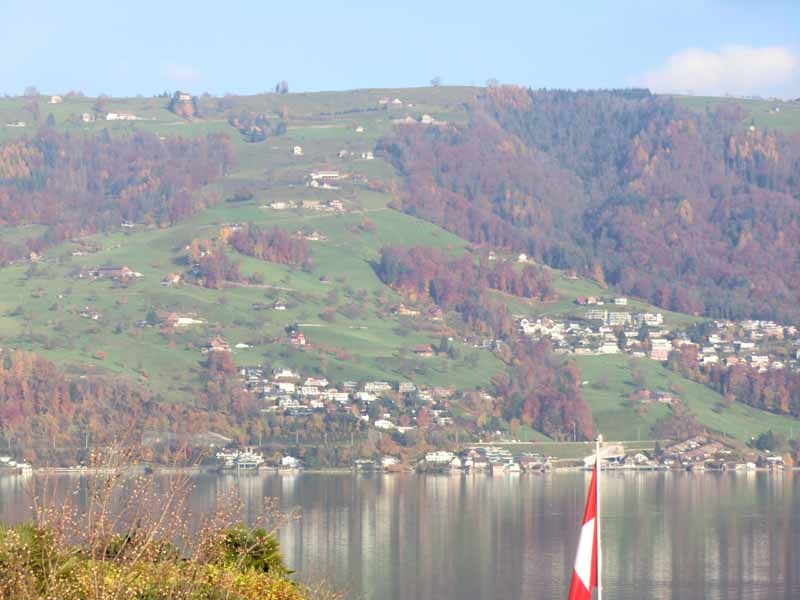 nahe Immensee am Zuger See - Blick über den See nach Osten