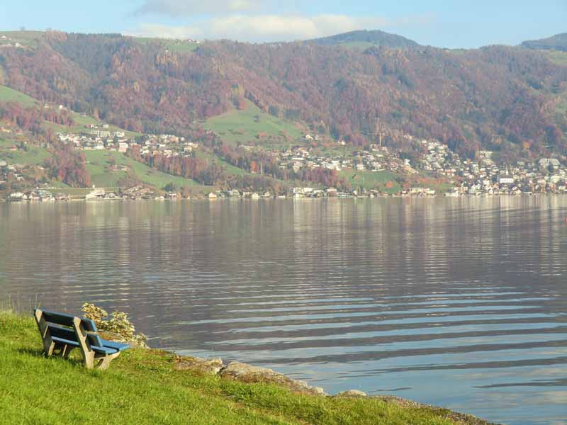 nahe Immensee am Zuger See