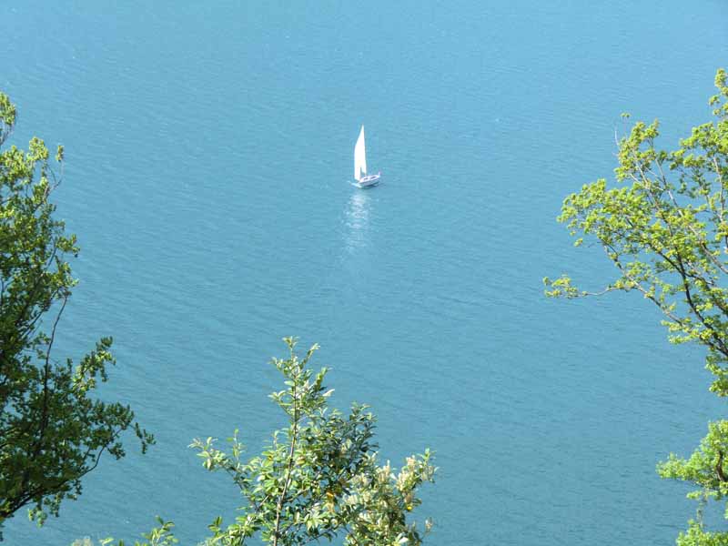 Segler auf dem Urner See