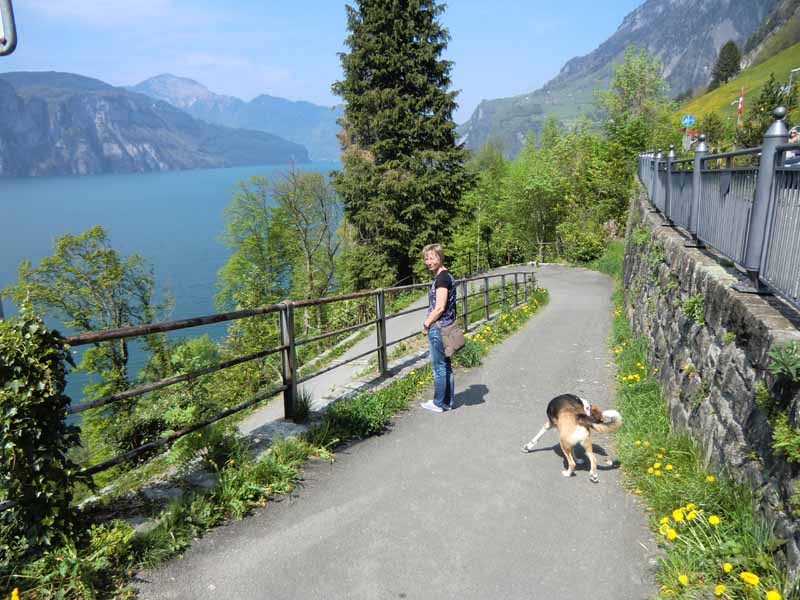 am Urner See - oberhalb der Tellskapelle