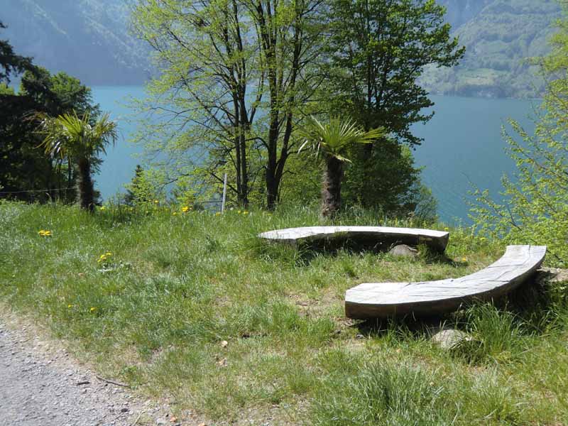 am Urner See - oberhalb der Tellskapelle