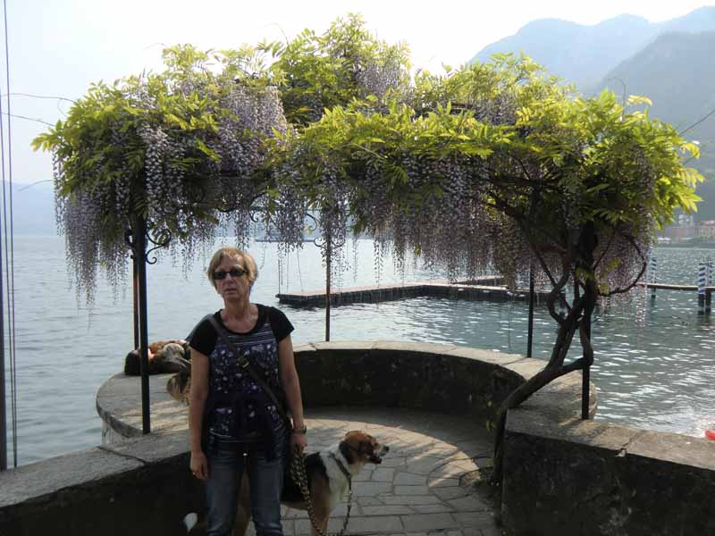 Uferpromenda in Menaggio - Comer See