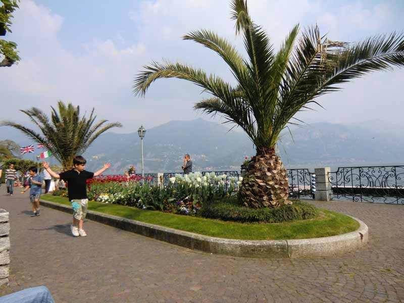 Uferpromenda in Menaggio - Comer See