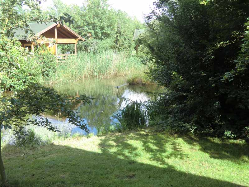 Teich inmitten der Ferienhäuser