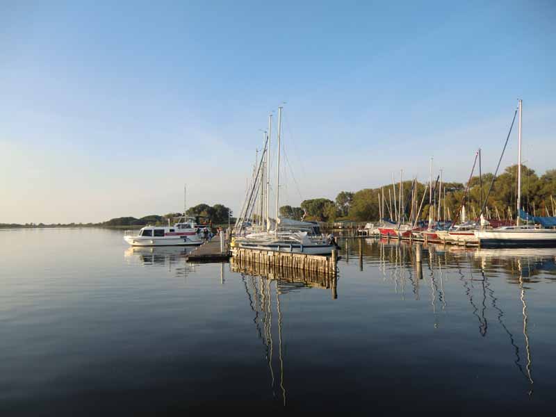 Morgenstimmung in Rechlin (Müritz)