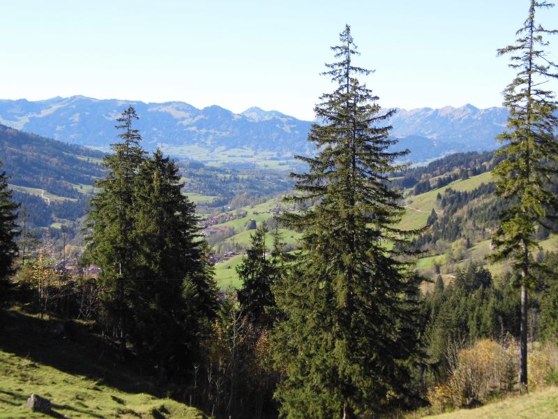 Bregenzer Wald