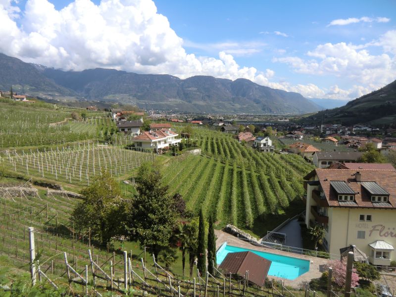 Blick nach Meran