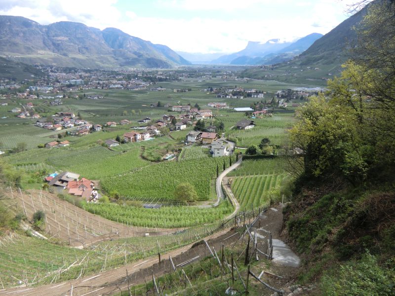 Aussicht vom Waalweg