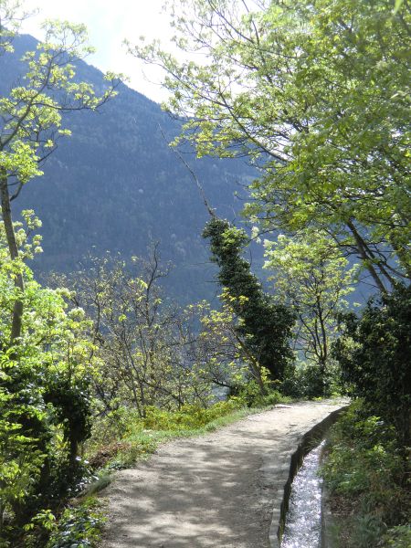 Weg entlang eines Waales