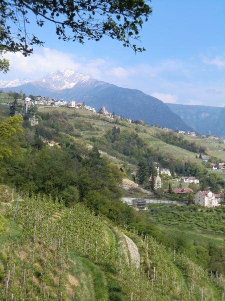 Blick vom Waalweg - oben: Dorf Tirol