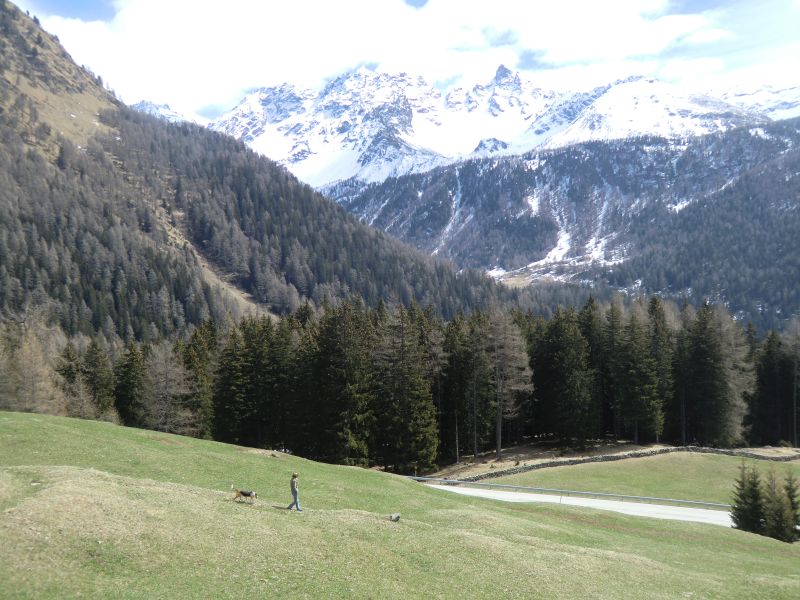 auf dem Weg zum Bernina-Pass