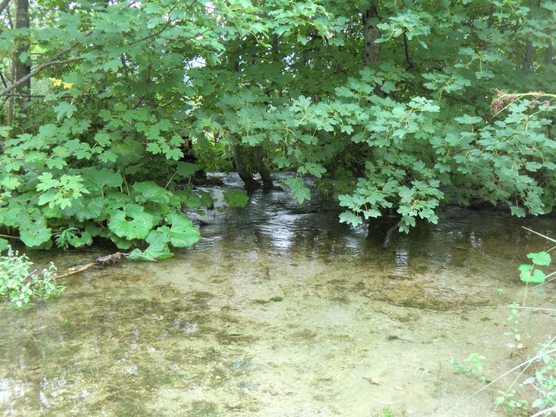 Nationalpark Plitvicer Seen