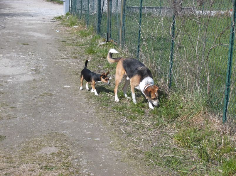 Lass mich bloss in Ruhe!
