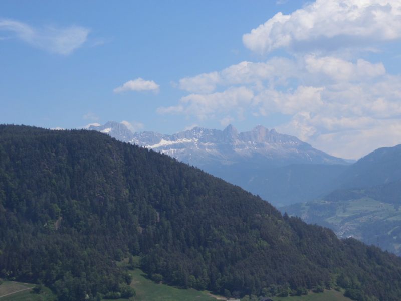 der Rosengarten