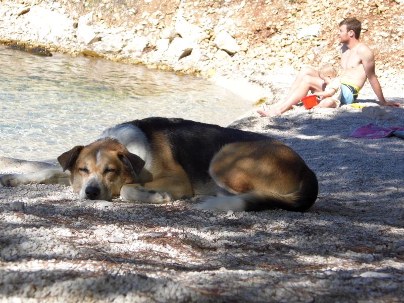 im Schatten ist gut ruh
