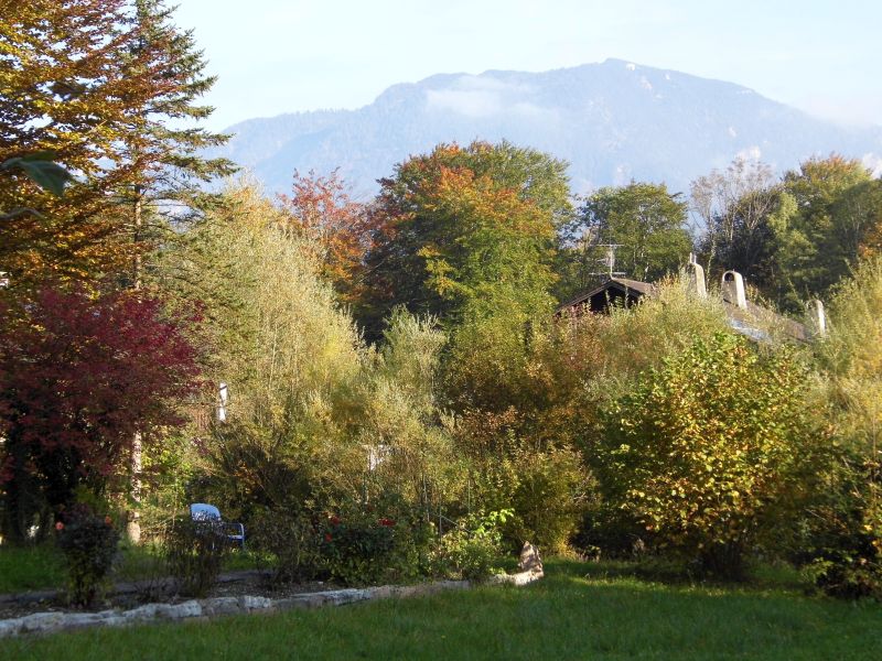 ... mit tollem Garten