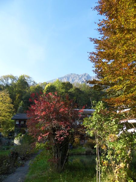 ... mit tollem Garten