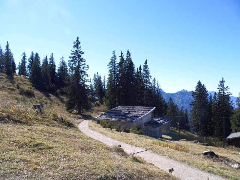 auf dem Predigtstuhl