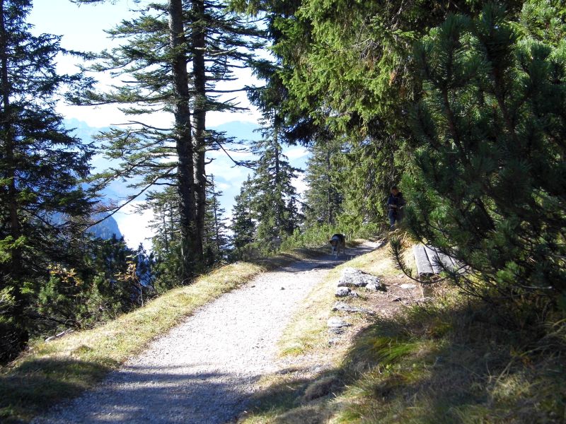 auf dem Predigtstuhl