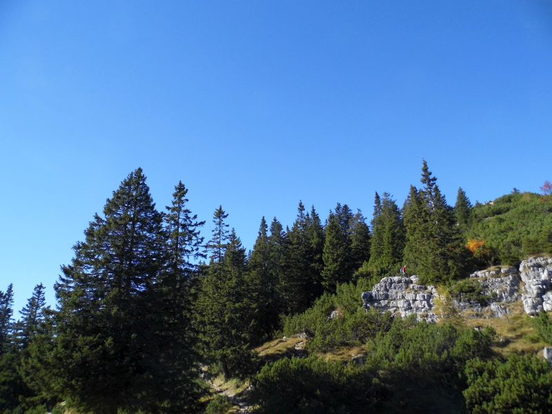 auf dem Predigtstuhl