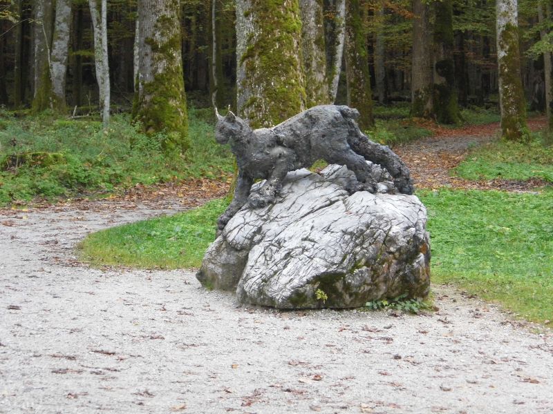 der bronzene Luchs