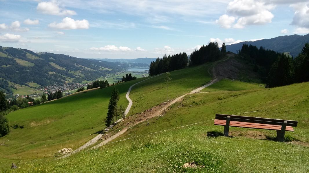 im Hintergrund der Alpsee
