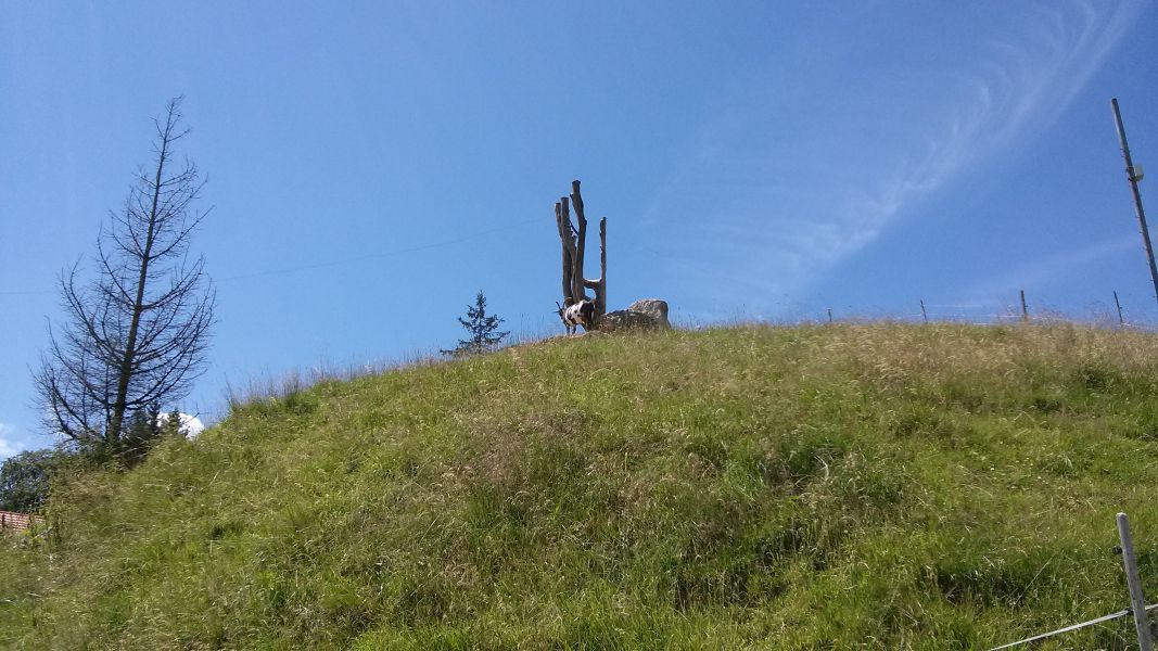 Wanderung auf dem Hündle