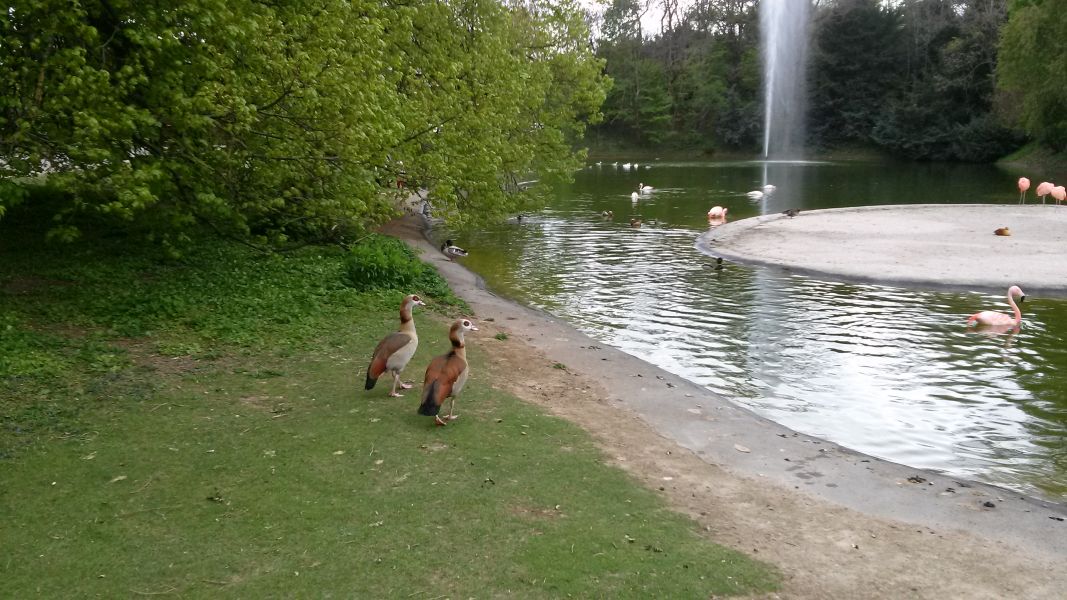 Höhenpark Killesberg in Stuttgart