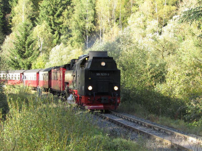 diesmal auf dem Weg nach Benneckenstein