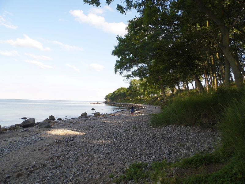 Strand auf Fehmarn